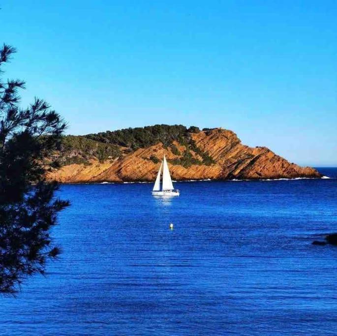 Grand T2 53M2, Proche Plages Et Port , Parking . Lejlighed La Ciotat Eksteriør billede